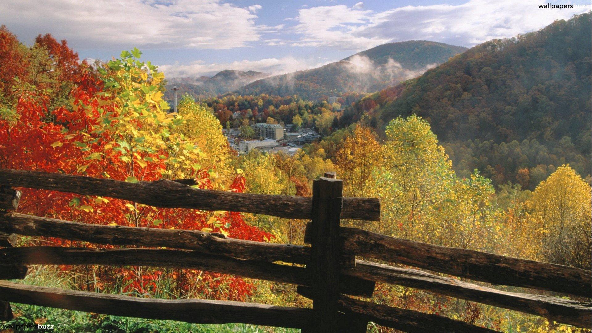 A fence to autumn forest HD Wallpaper