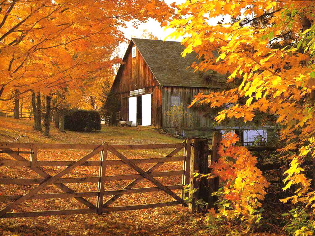 Autumn Wallpaper 6 / 1024x768 / Free Autumn Wallpaper