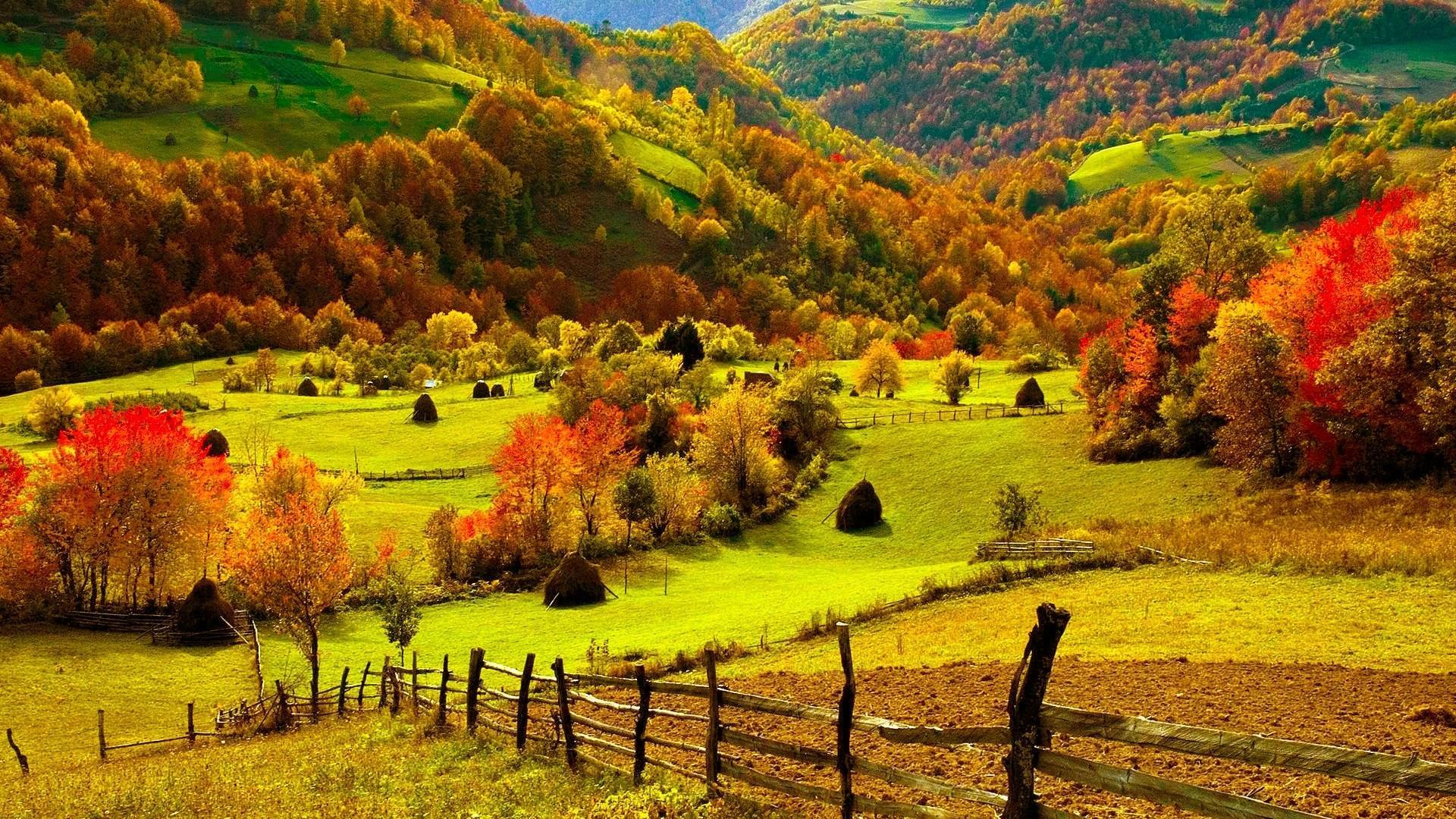 Autumn High Quality Wallpaper