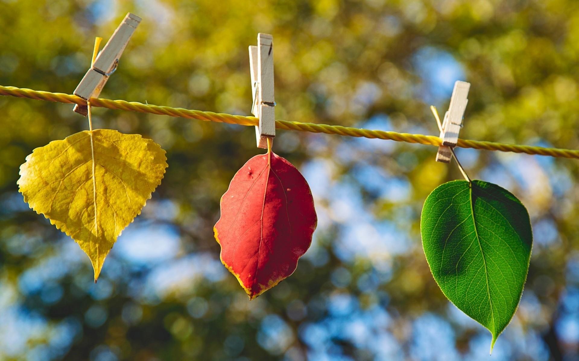 From Spring to Autumn