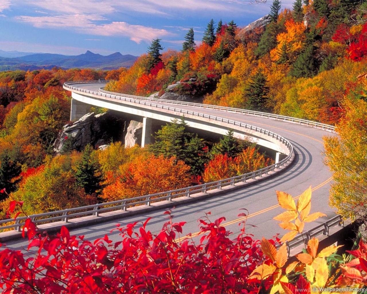 HD Best Desktop Wallpaper: Autumn Wallpaper 2 Desktop