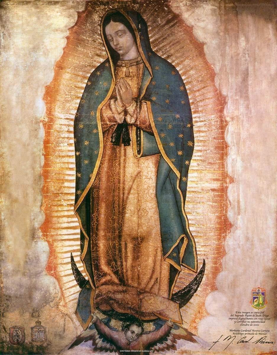 Our Lady Of Guadalupe, HD Wallpaper & background Download