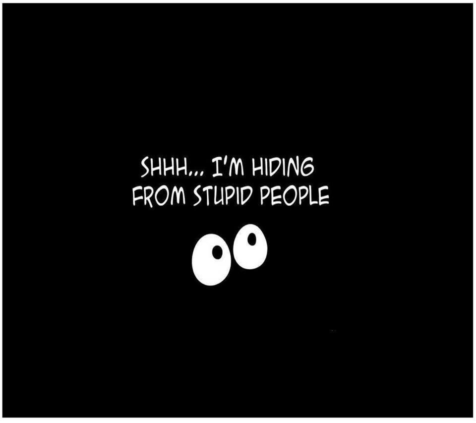 Shhh, I'm hiding from stupid people. Friendship quotes funny, Funny quotes, Stupid people