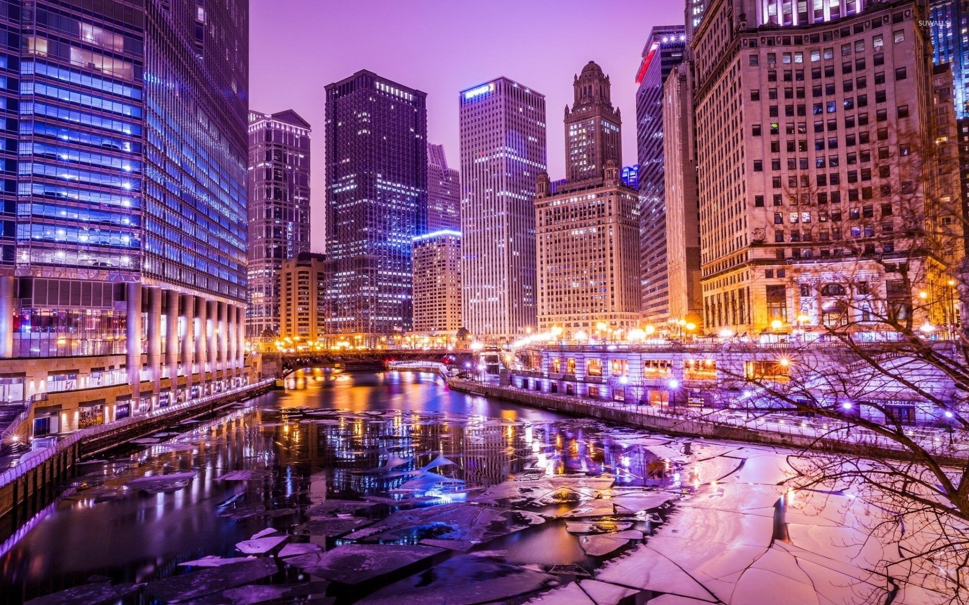 Purple lights in Chicago wallpaper wallpaper