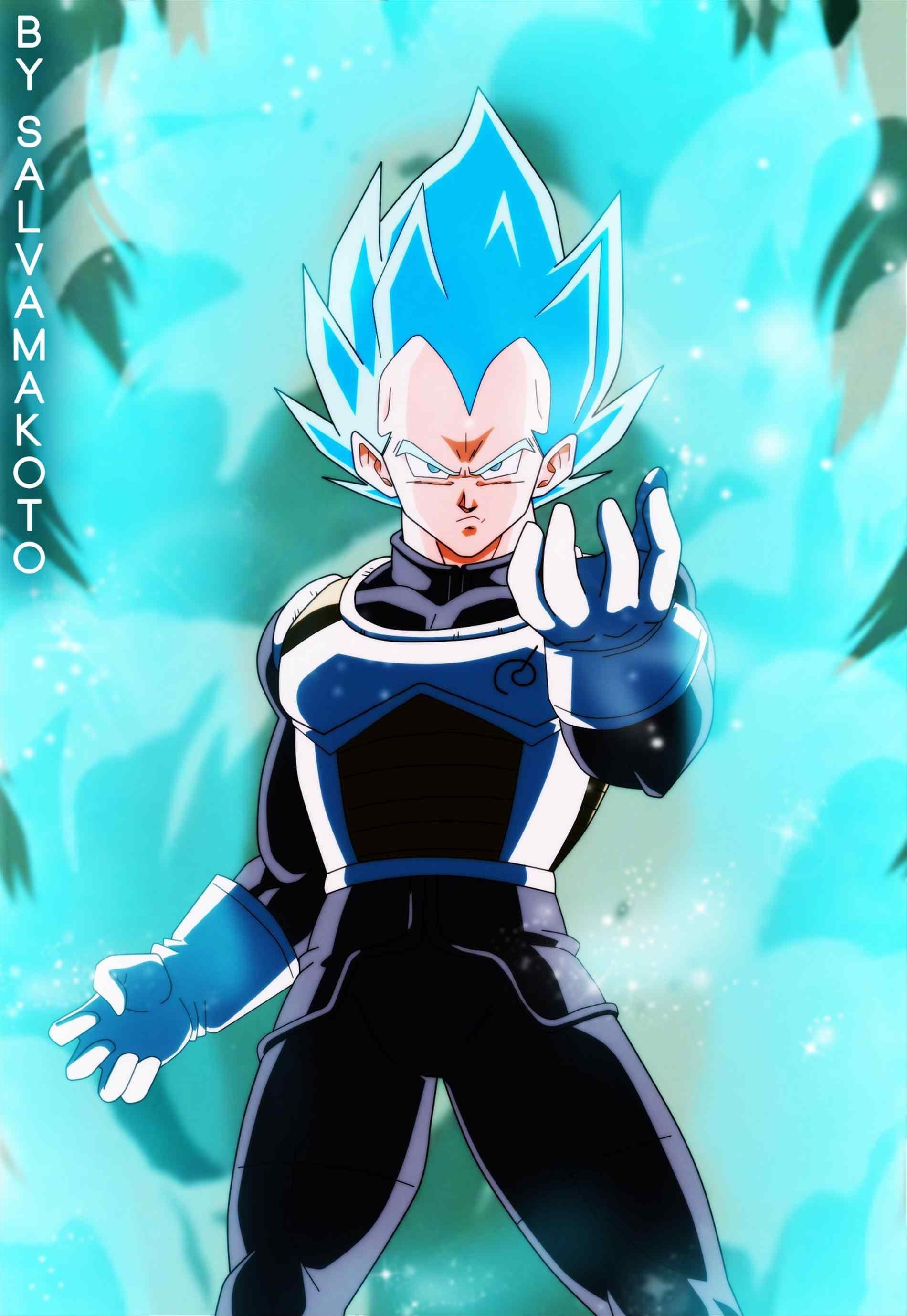 Vegeta Super Saiyan Blue Evolution Wallpapers