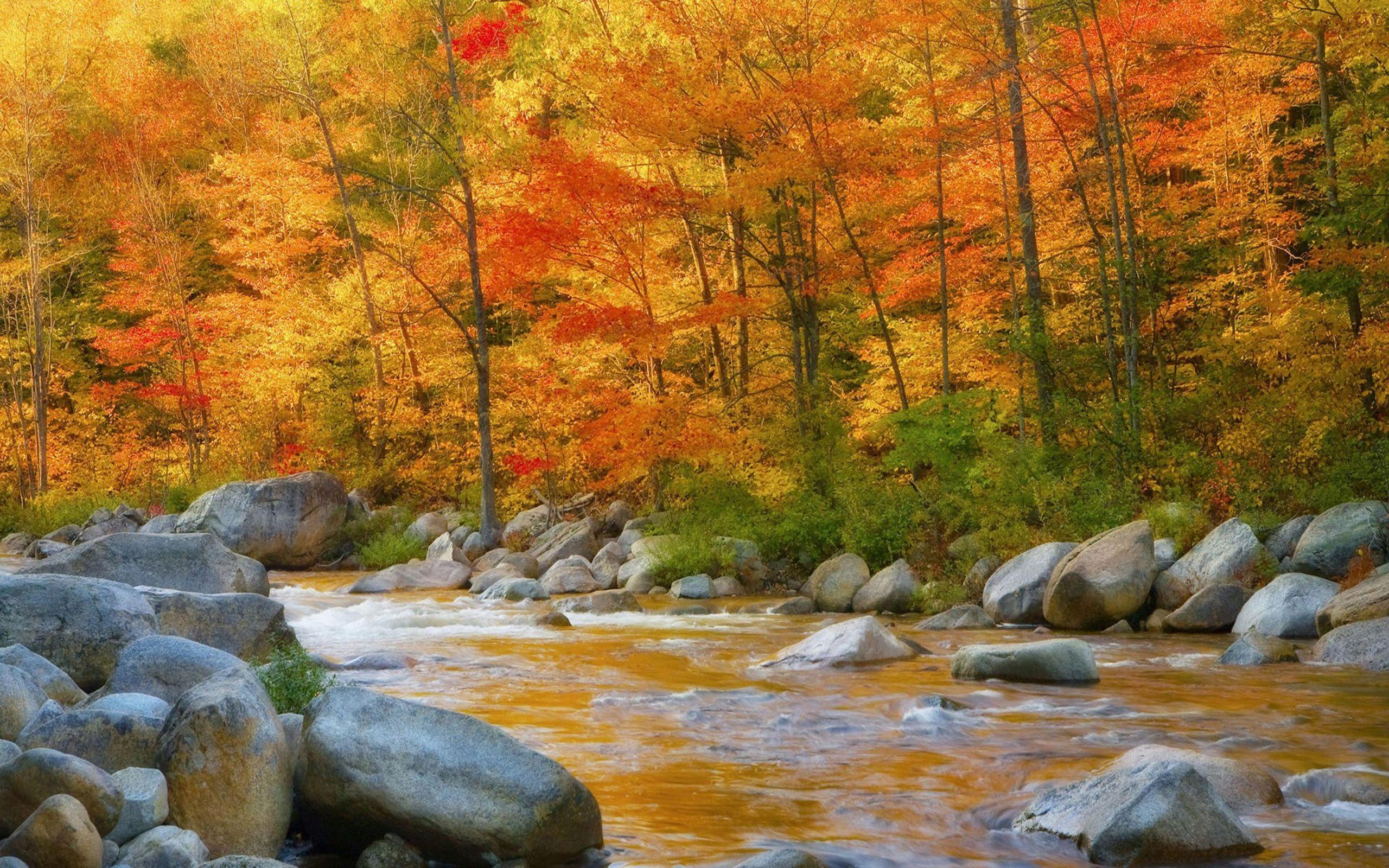 Autumn River Wallpaper