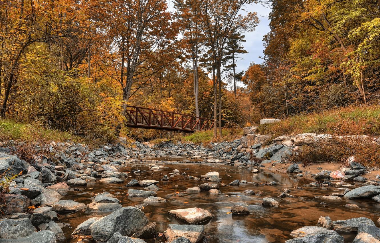 Wallpaper autumn, forest, trees, bridge, stones, Canada