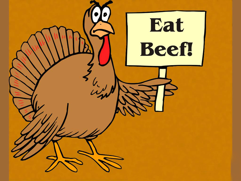 Funny Thanksgiving Wallpaper Free Funny Thanksgiving Background