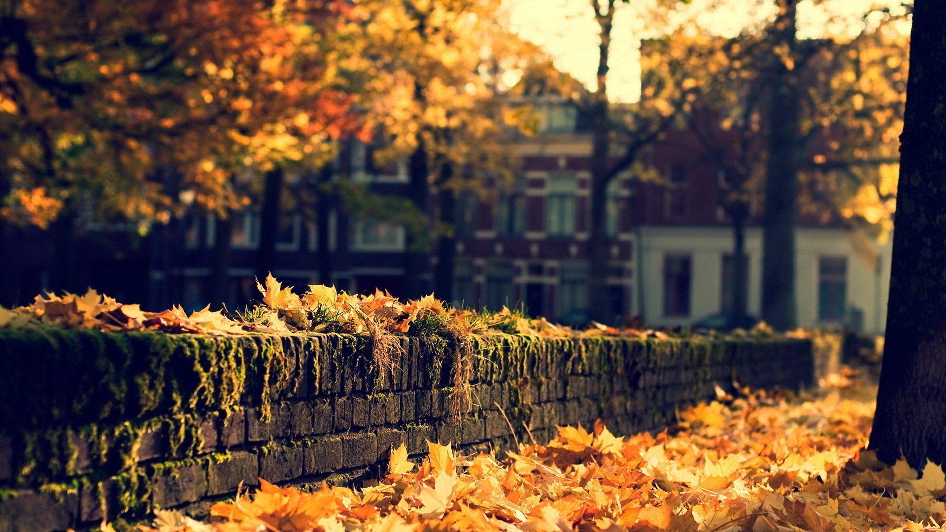 Autumn in the City Desktop Wallpaper at