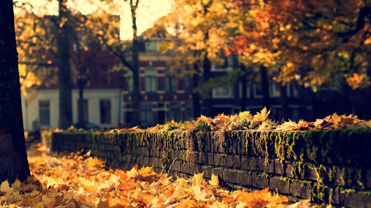 Autumn in the City Desktop Wallpaper at