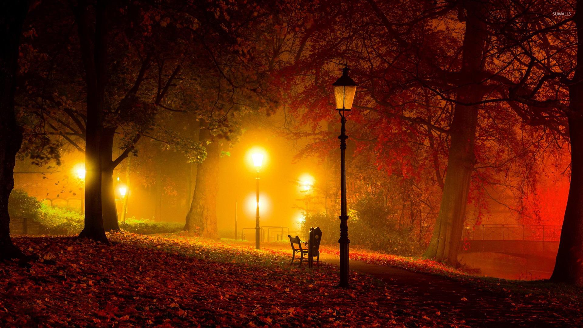 Amazing colors in the autumn park wallpaper