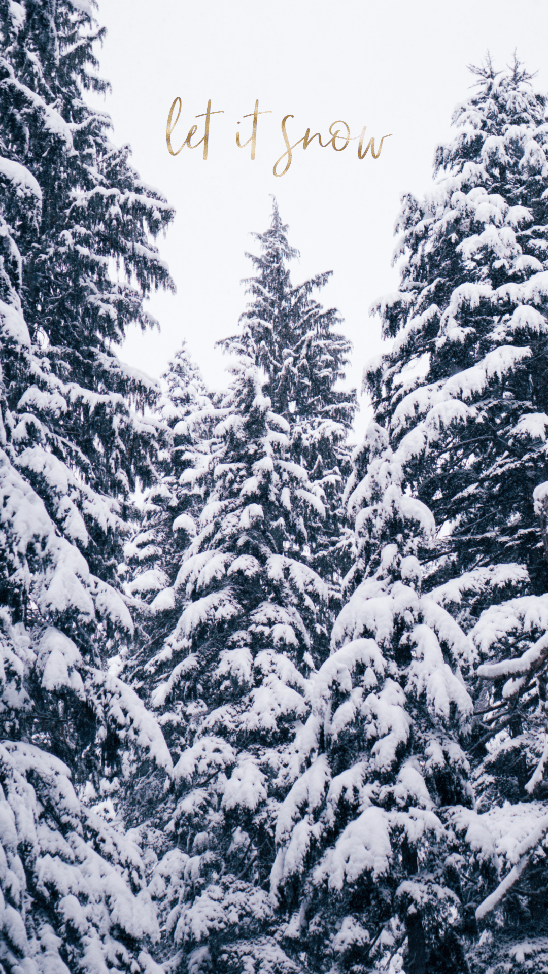 Free: Winter snow aesthetic iPhone wallpaper