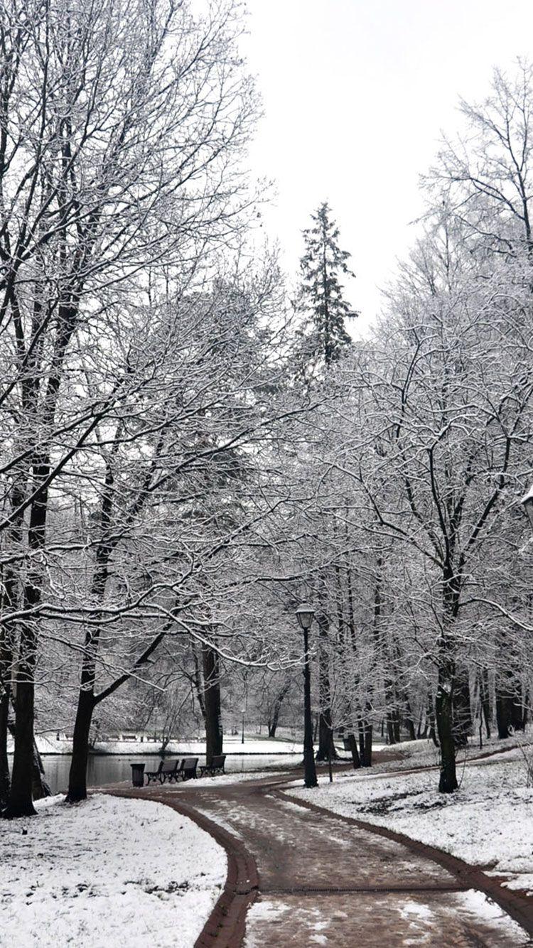 Winter Wallpaper 10. ❄ Winter.. snow ❄. iPhone