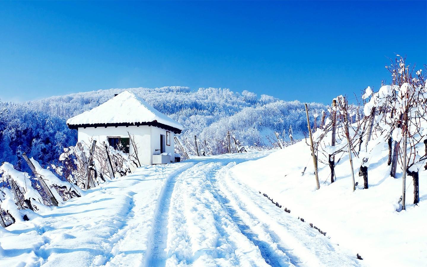 冬季日落雪景摄影图__自然风景_自然景观_摄影图库_昵图网nipic.com