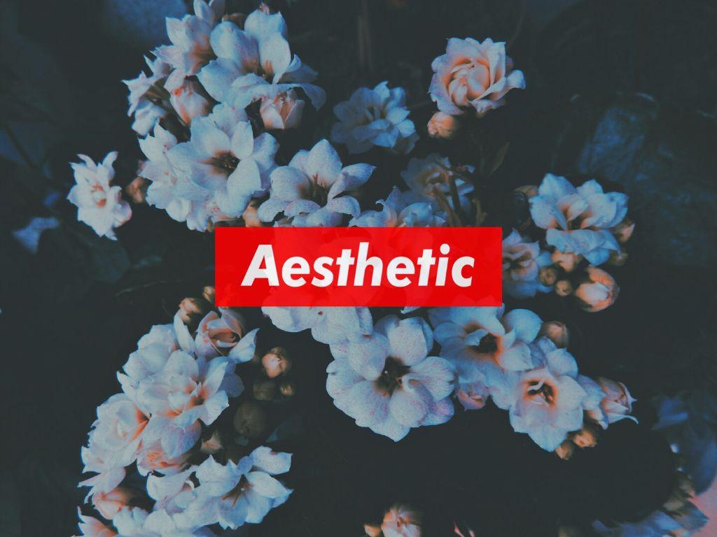 freetoedit aesthetic flowers background