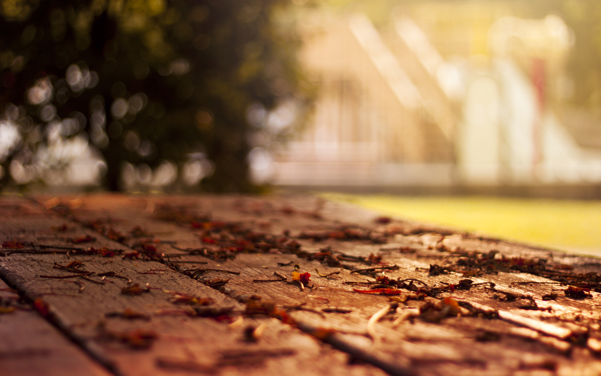 Lovely HD Leaves Wallpaper