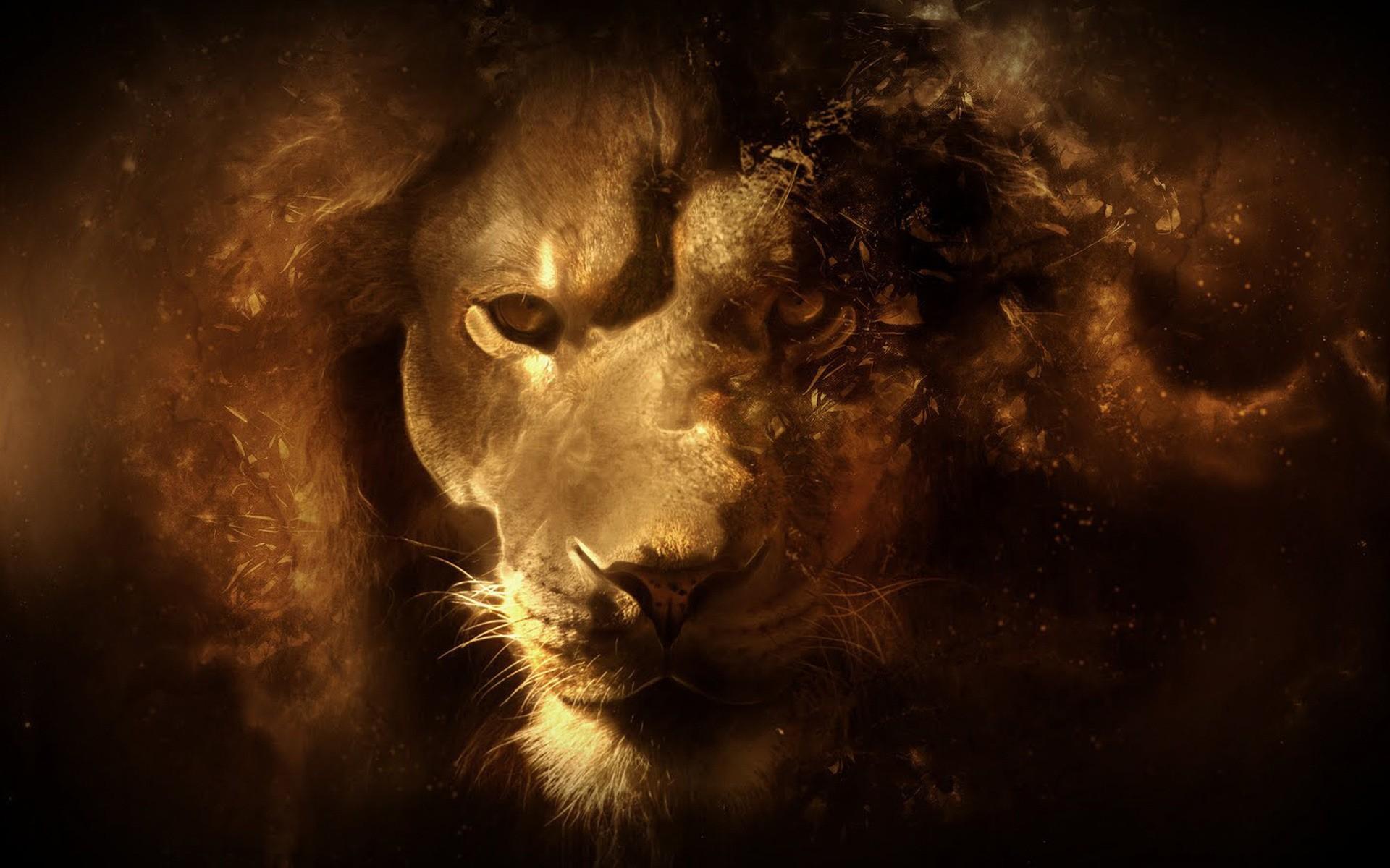 Lion Art Desktop Wallpaper