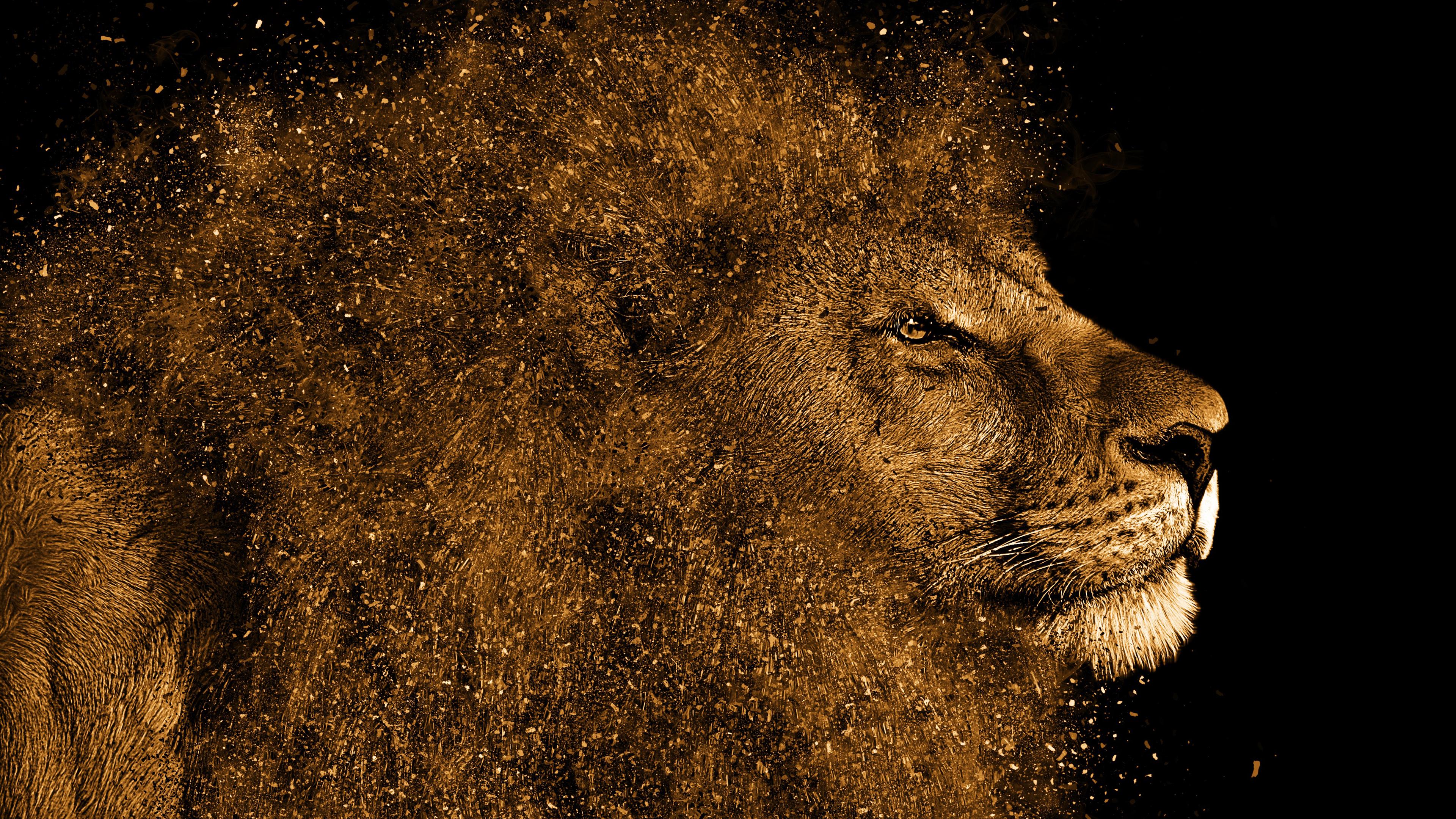 Lion Art 4K Wallpaper