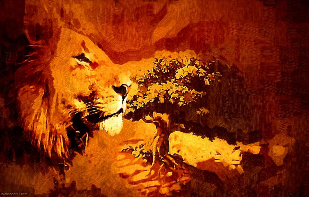 Art Wallpaper Lion Image. Image Wallpaper Collections
