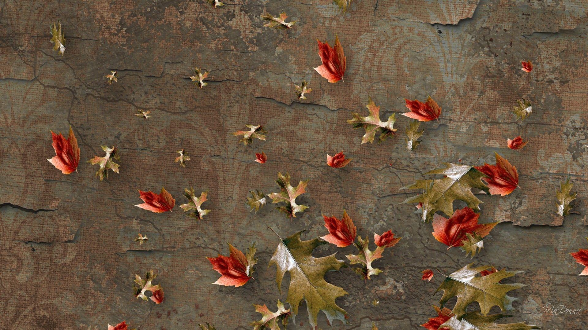 Vintage Fall Wallpaper Free Vintage Fall Background