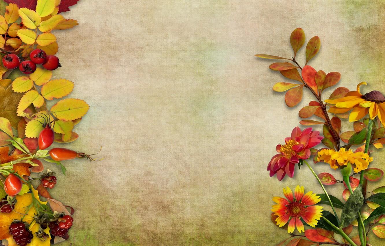 Wallpaper autumn, leaves, flowers, berries, vintage, background, autumn, leaves image for desktop, section цветы