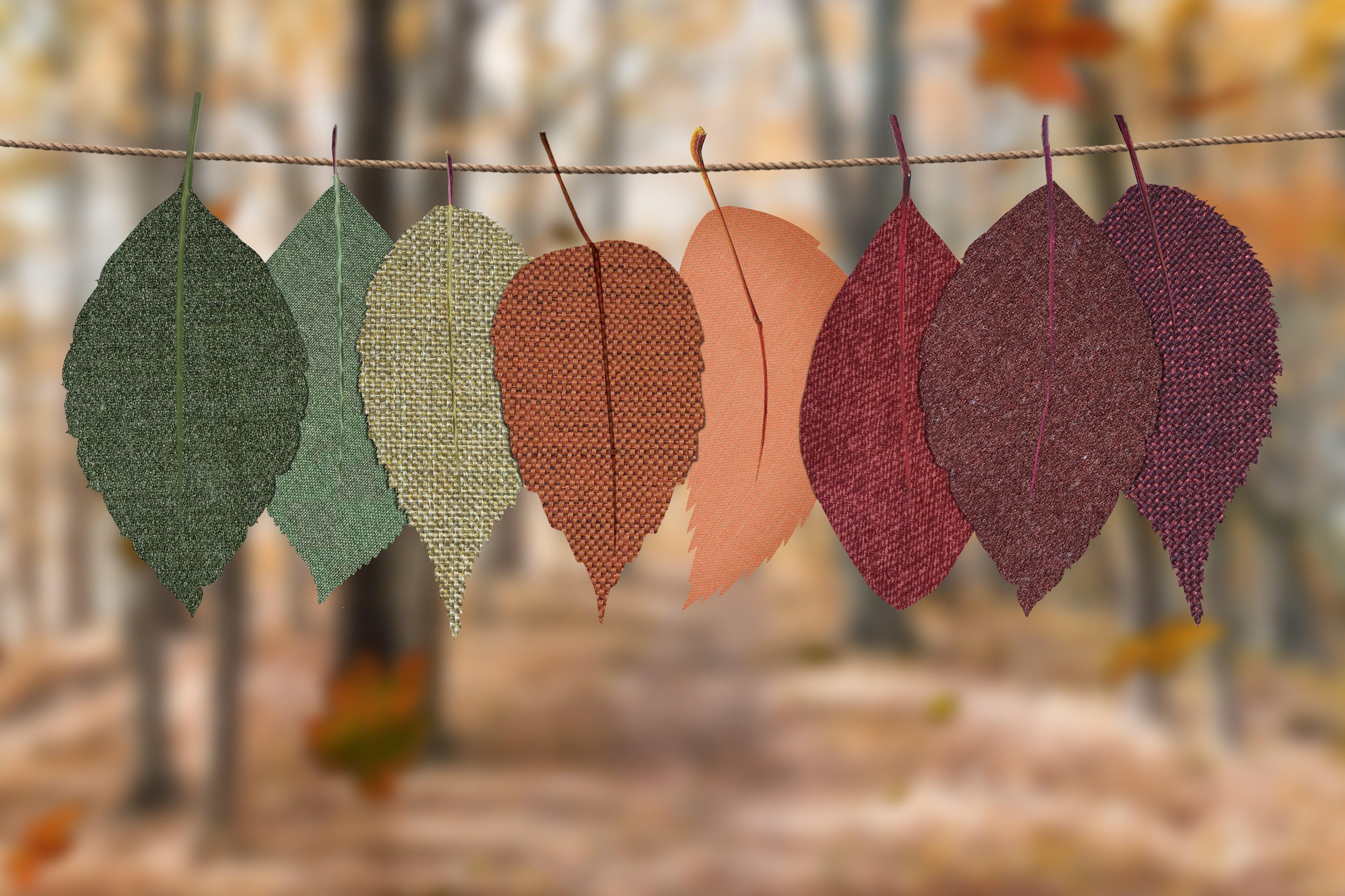 Fall Inspired Color Palettes