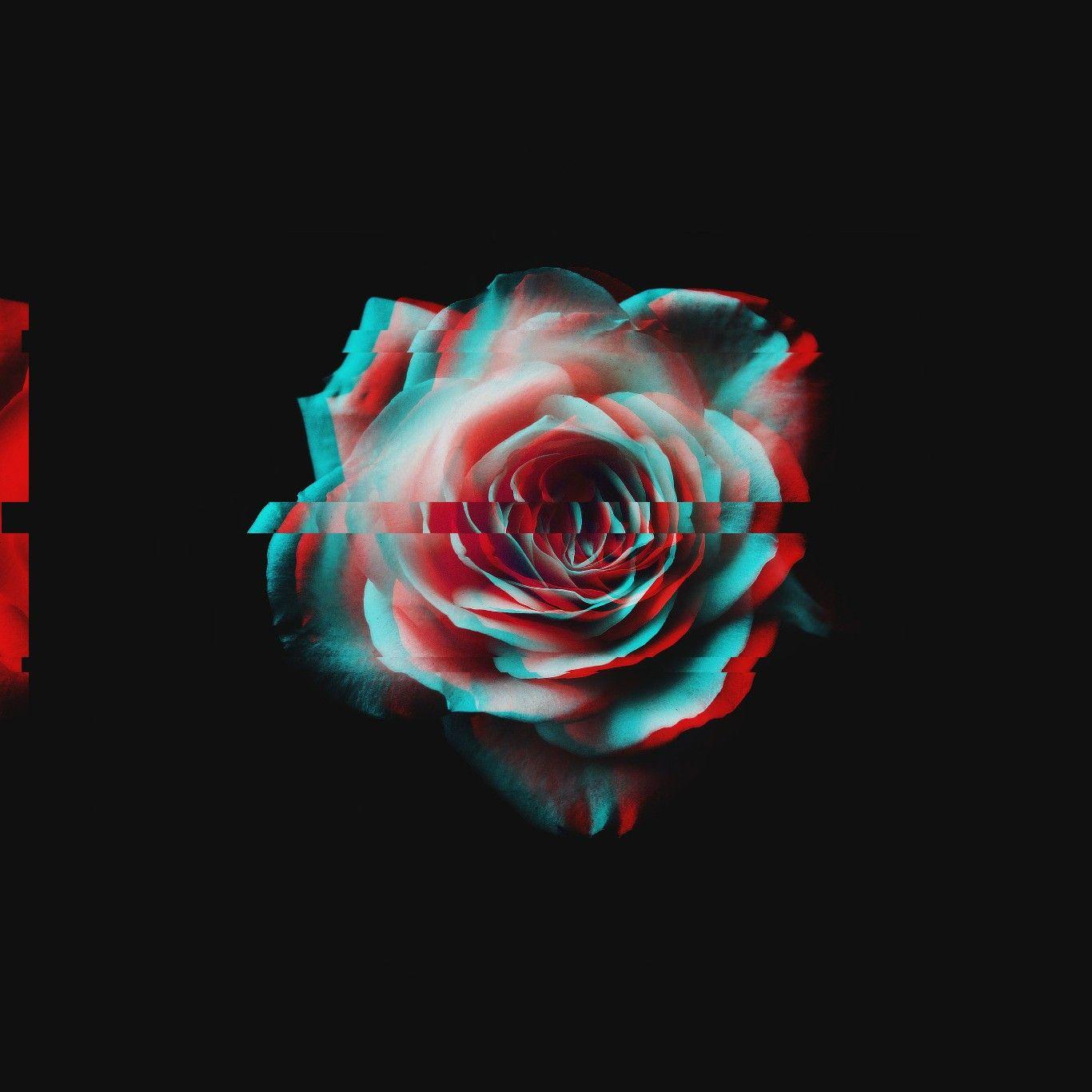 Glitch Rose Amoled. Glitch wallpaper, Aesthetic