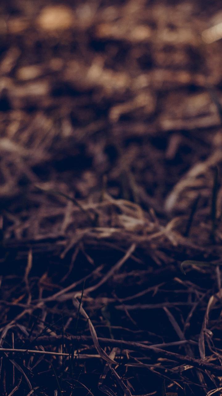 Path Leaf Old Vintage Art Nature Xiaomi Redmi 5a