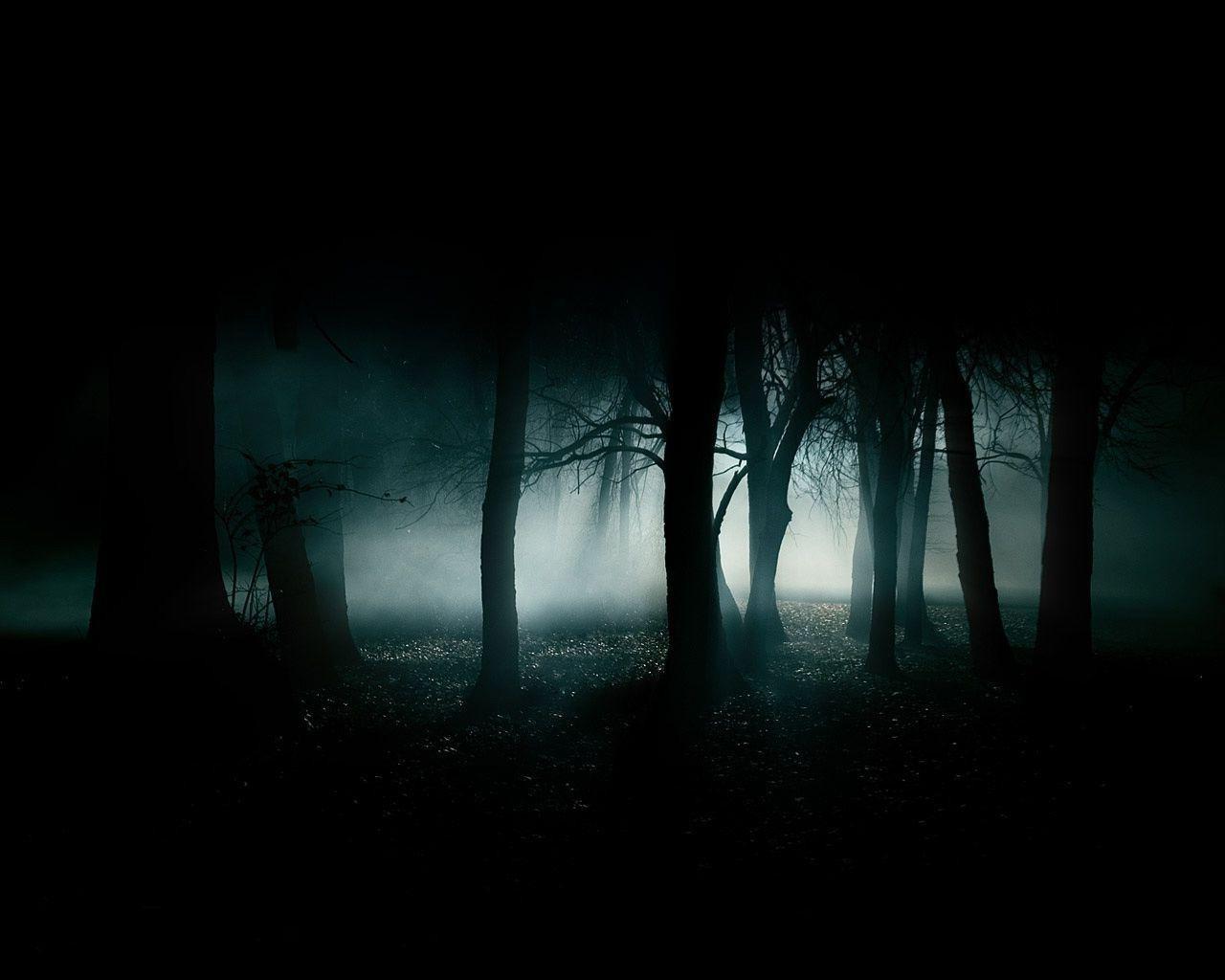 dark, Forest, Night, Gloomy Wallpaper HD / Desktop