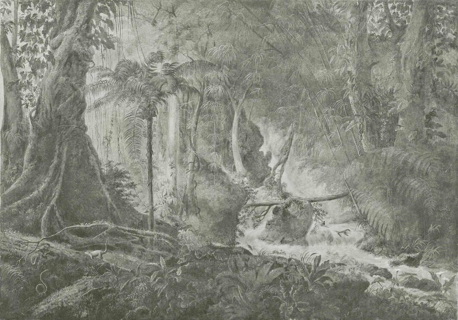 RAIN FOREST coverings / wallpaper from WallPepper