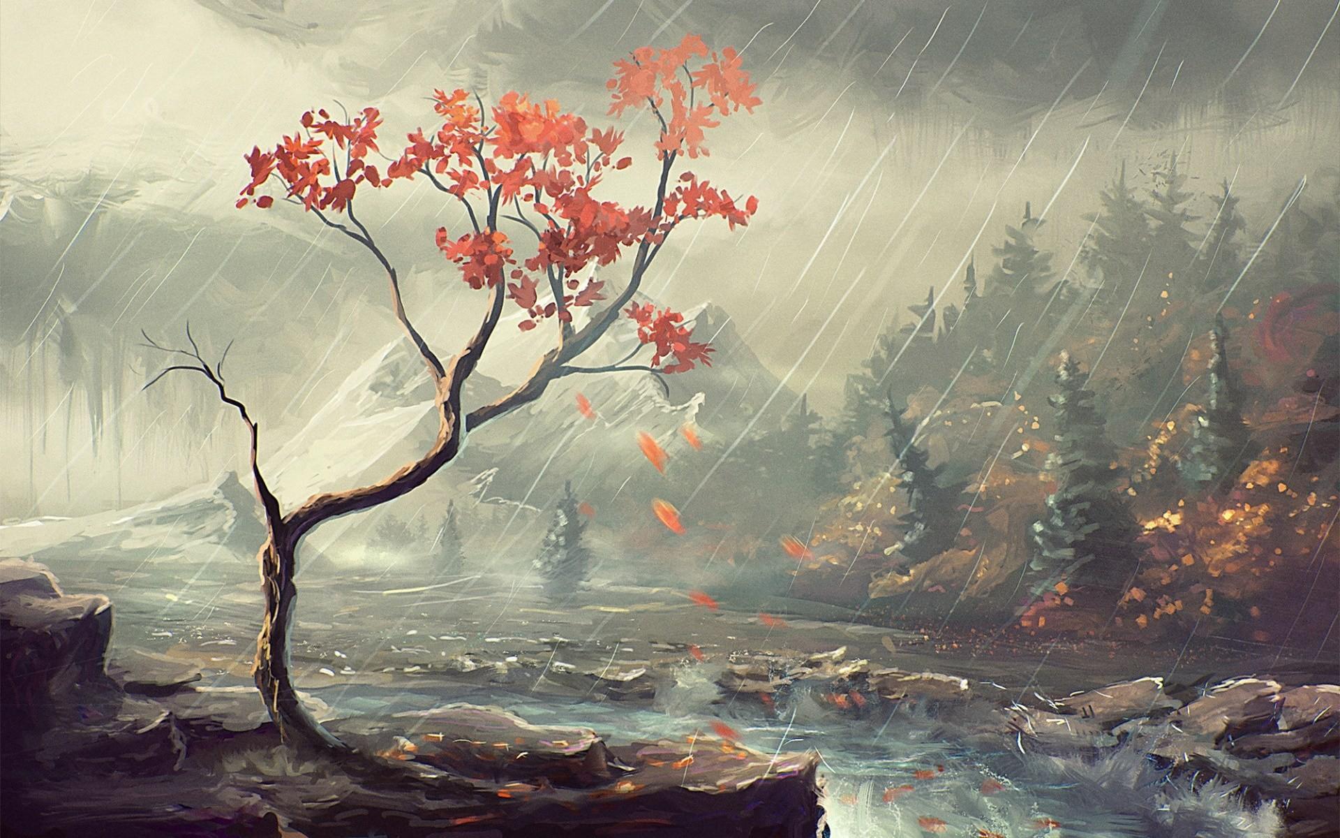 Rain In The Forest Art HD Wallpapers.