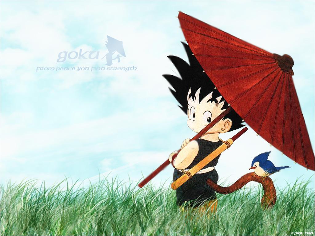 Kid Goku and Scan Gallery
