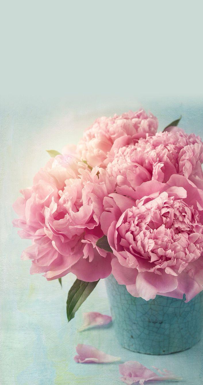 Peonies Find more Cute Vintage wallpaper