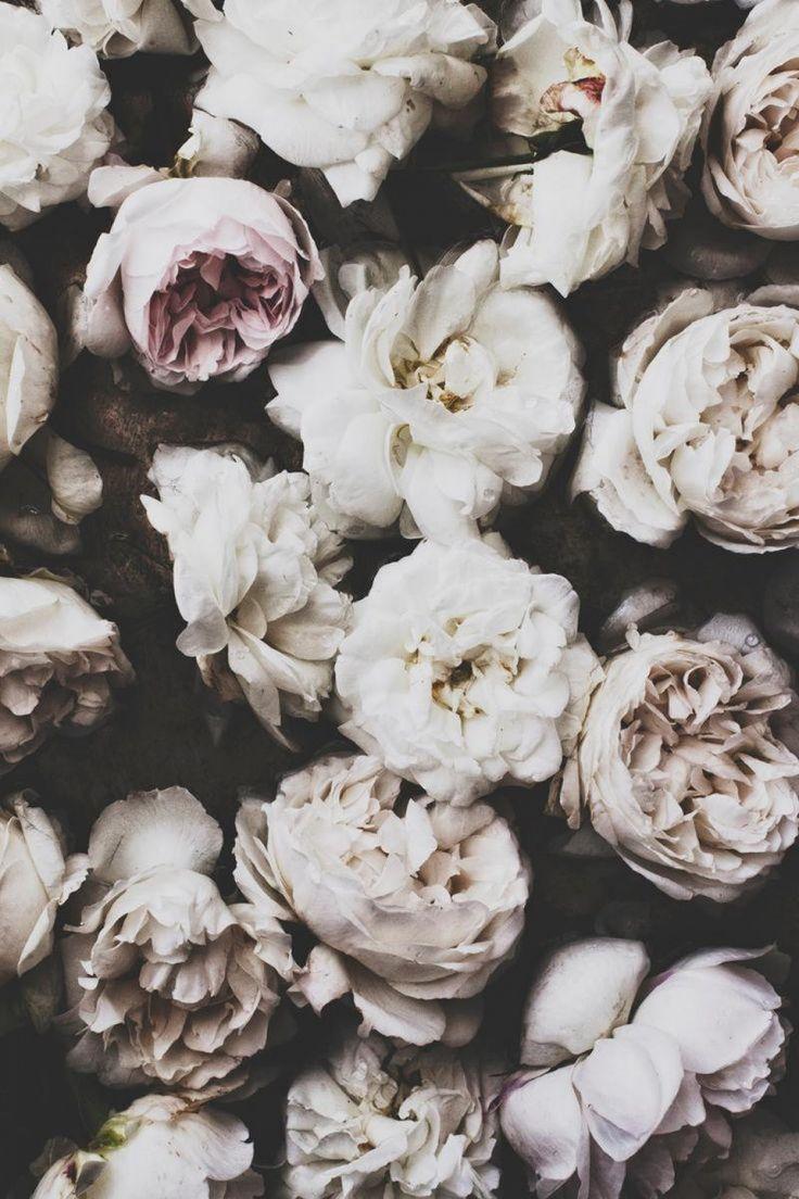 Peonies Vintage Bouquet Wallpapers - Wallpaper Cave