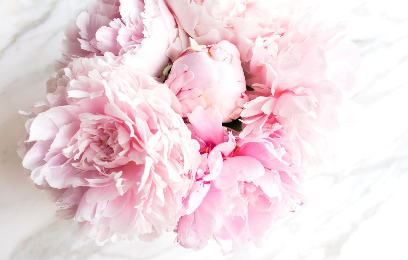 Wallpaper flowers, bouquet, marble, pink, flowers, peonies