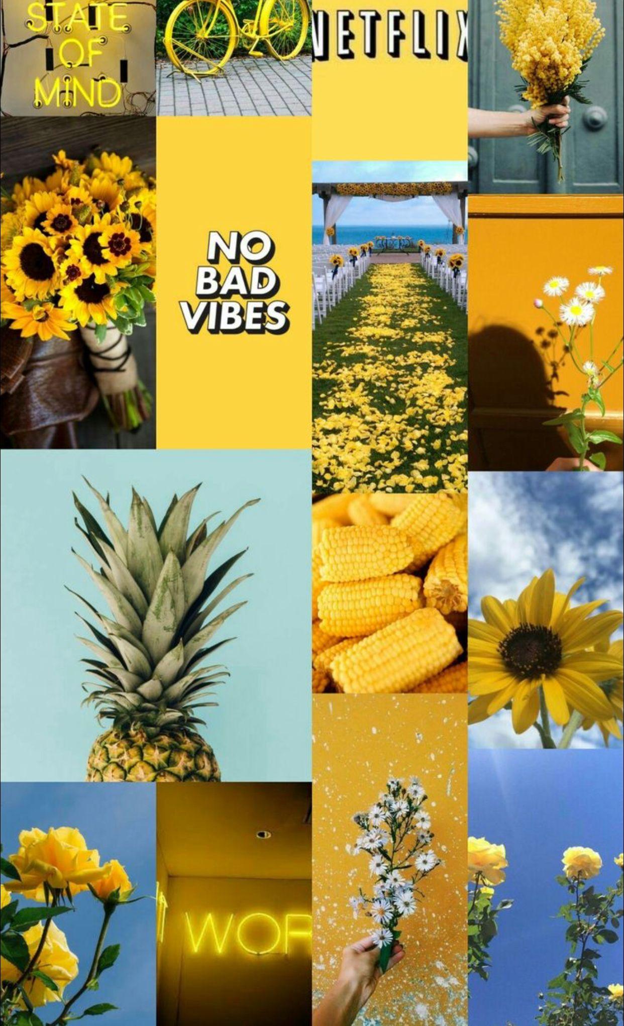 550 Yellow Aesthetic Pictures  Download Free Images on Unsplash