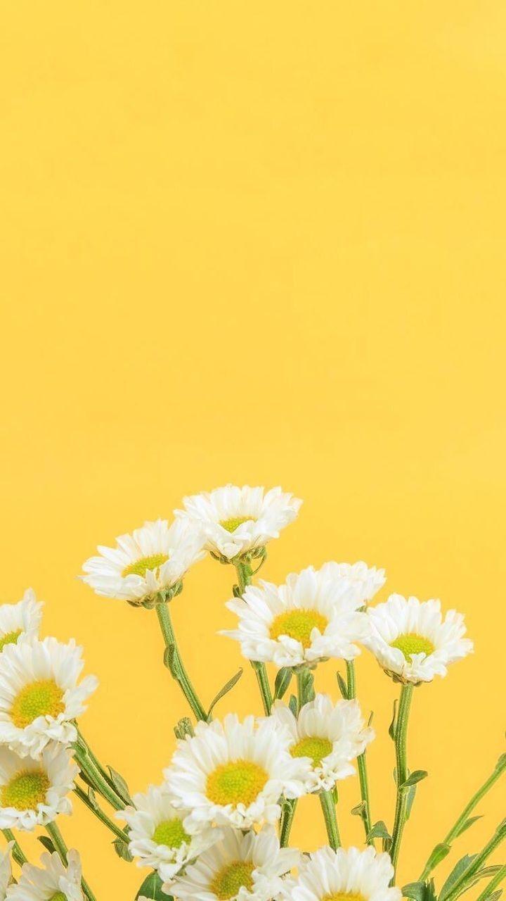 Yellow Floral iPhone Wallpaper Free Yellow Floral