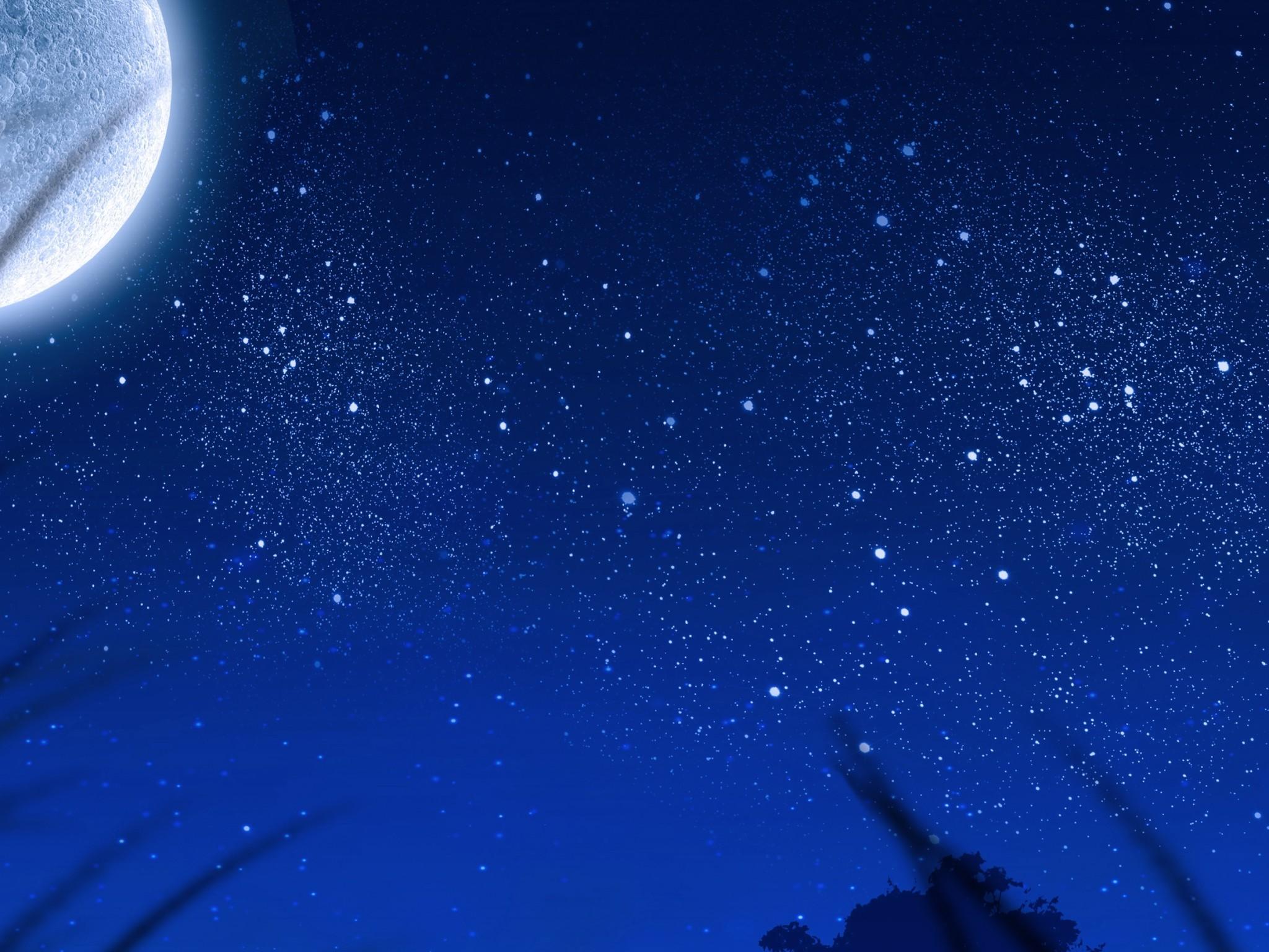 Download 2048x1536 Big Moon, Stars, Plants, Night, Scenic