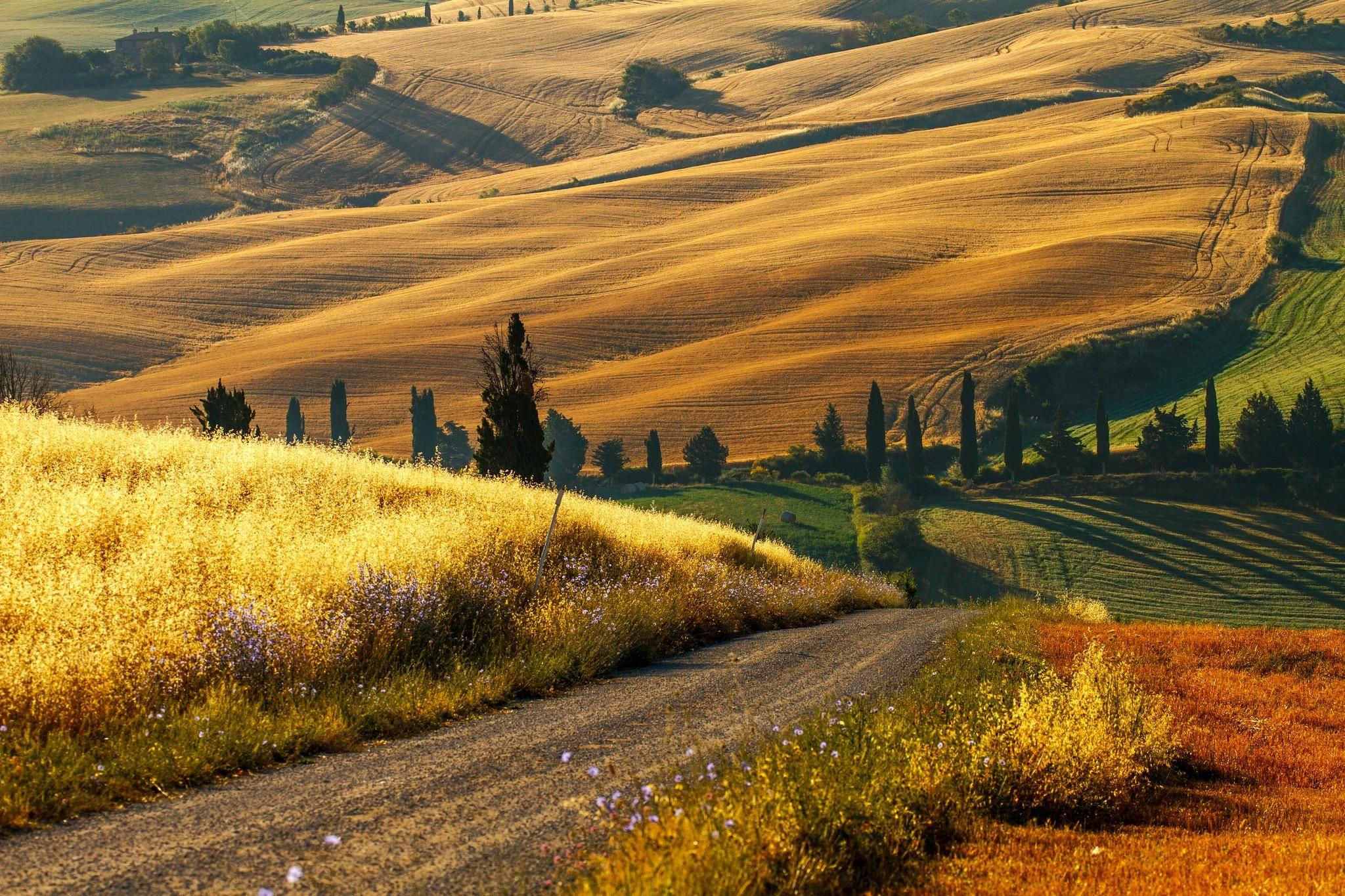 Wallpaper Italy, Tuscany, fields, autumn, house, trees, road