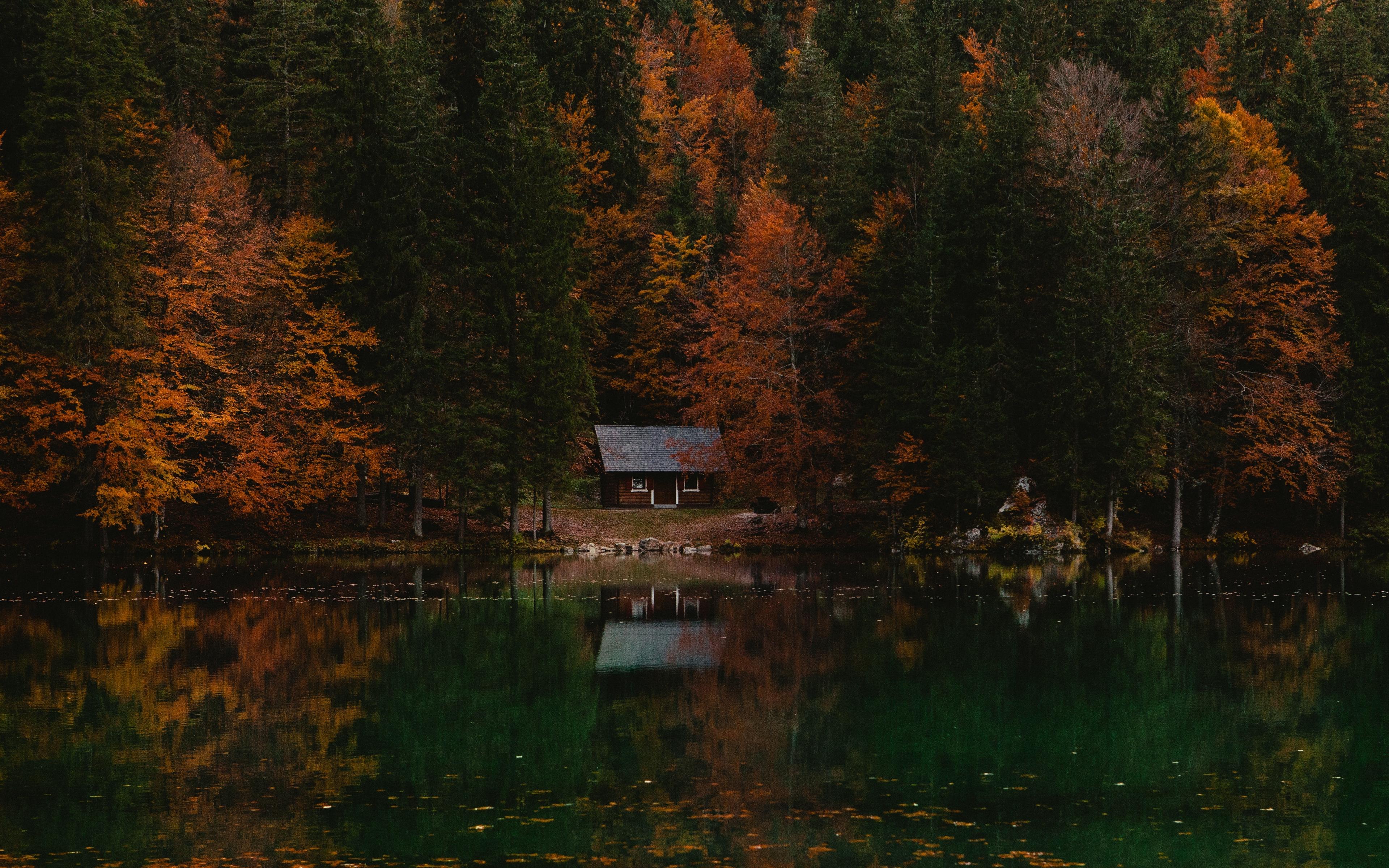 Download wallpaper 3840x2400 forest, house, autumn, lake