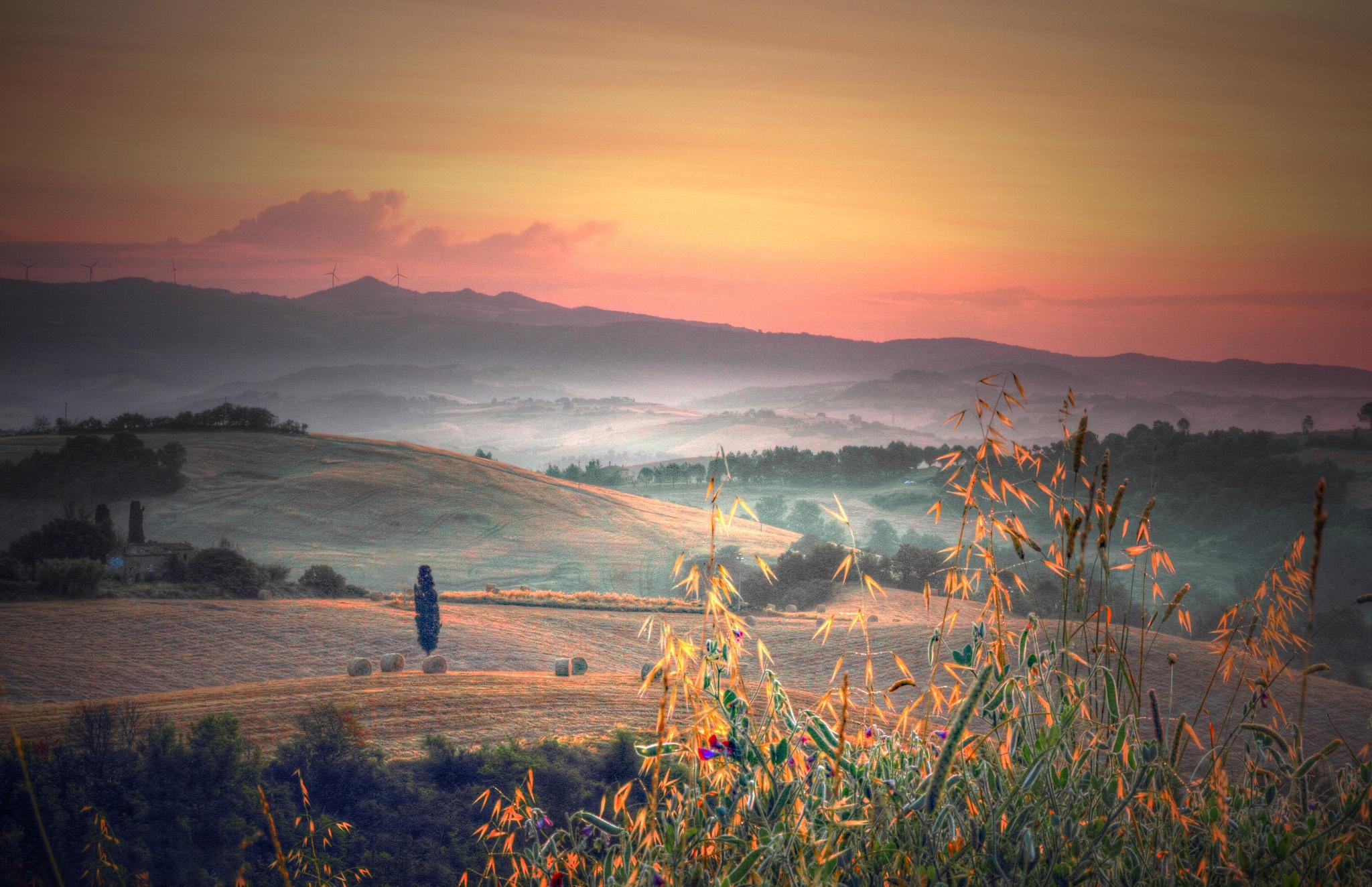 italy, Tuscany, Hills, Trees, Fields, Plants, Grass, Morning