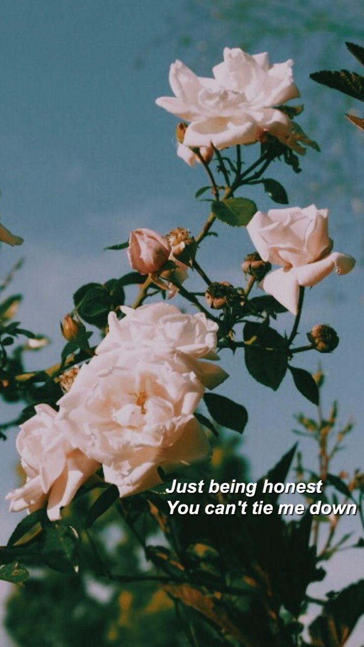 Aesthetic flowers wallpaper