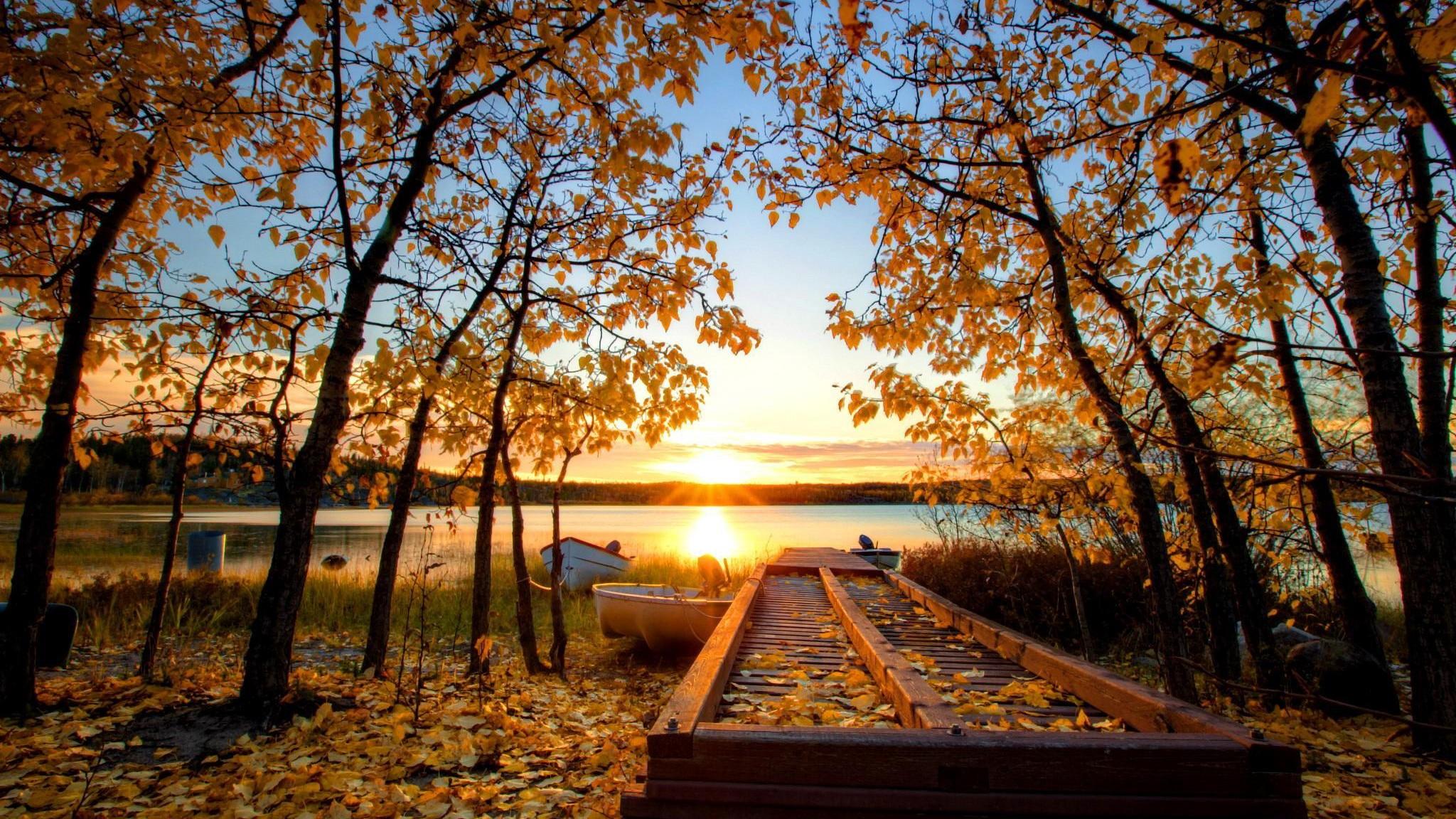 Autumn Sun Over The Riverbank HD desktop wallpaper