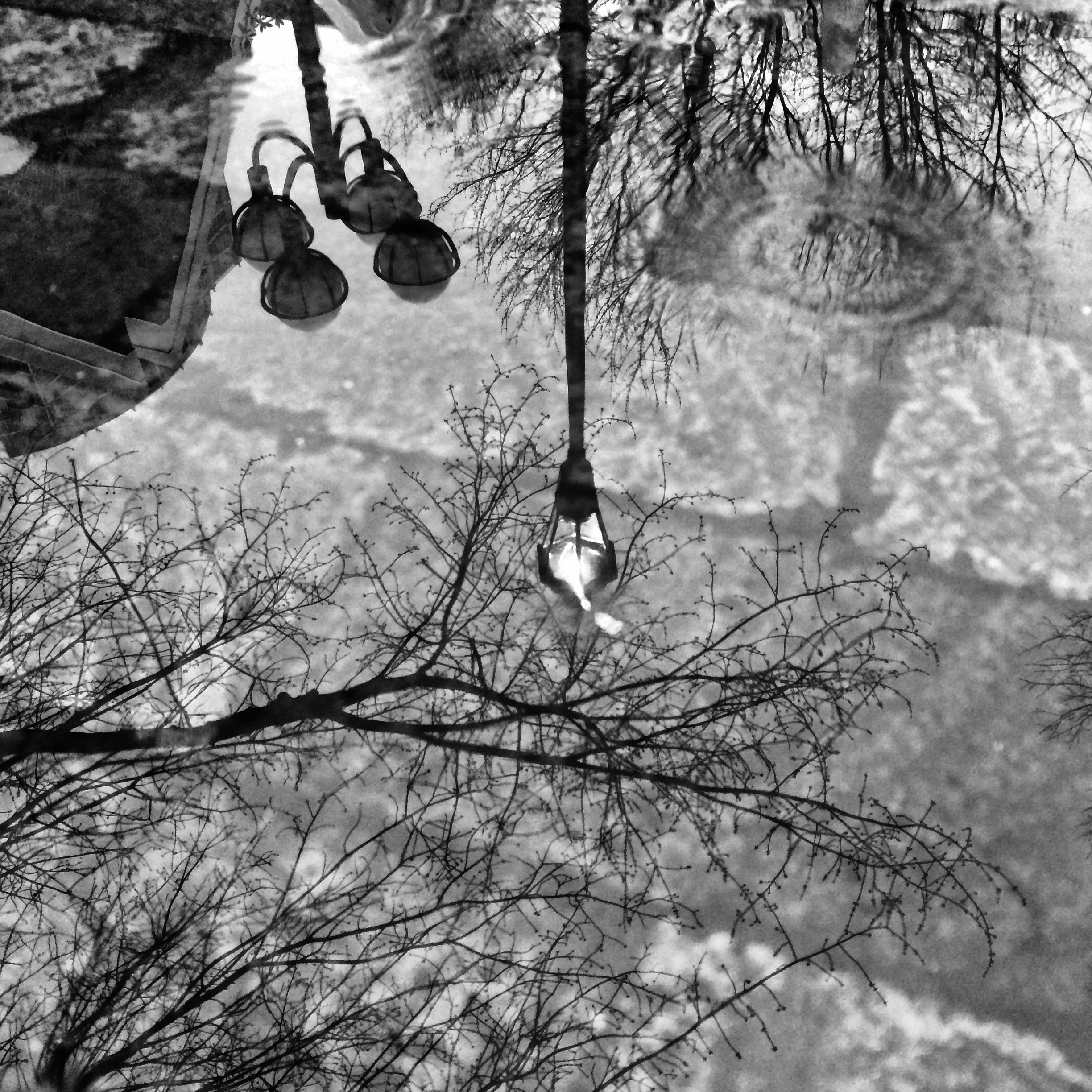 Black And White Rain Image. Free Stock Image Library