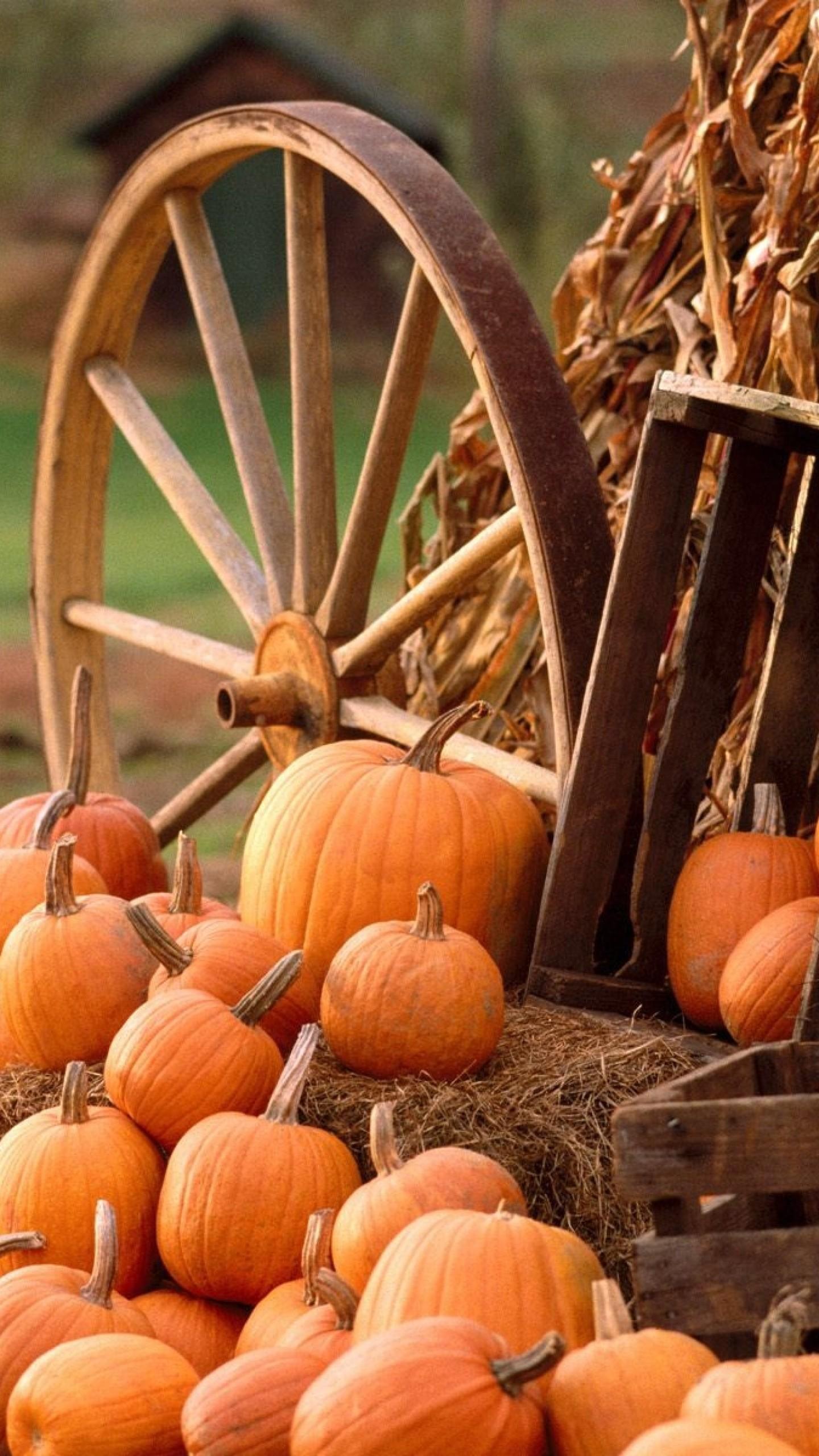 Fall Wallpaper With Pumpkins