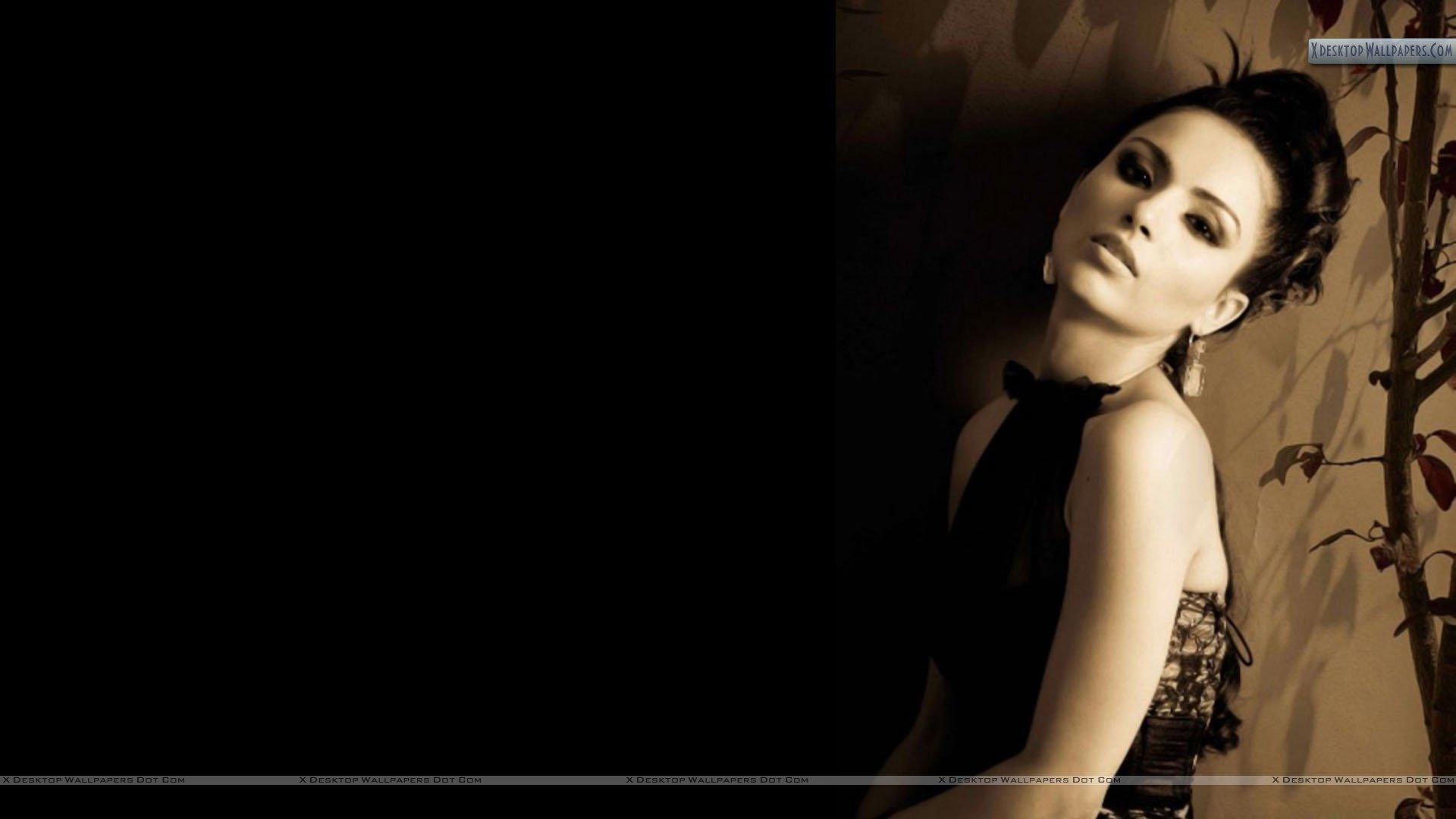 Sapan Saran Modeling Pose In Black Dress Wallpaper