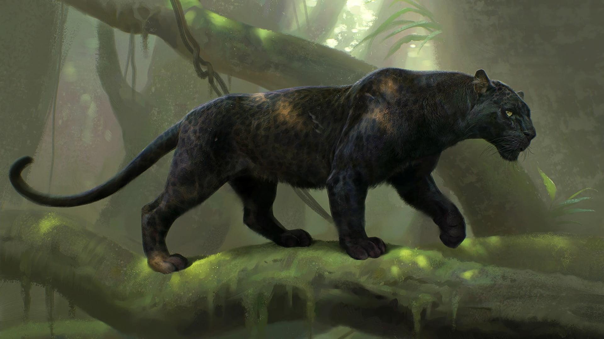 HD wallpaper: black Panther, panthers, big cats, animals