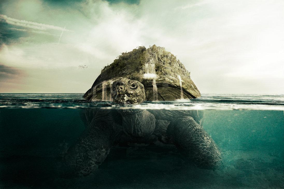 HD Aesthetic Desktop Wallpaper 4k Sea Turtle Fantasy