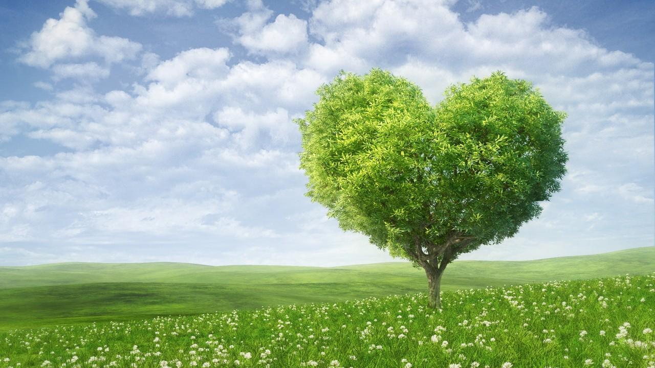 Wallpaper Love Heart, Tree, Green, Landscape, HD, 4K, Love
