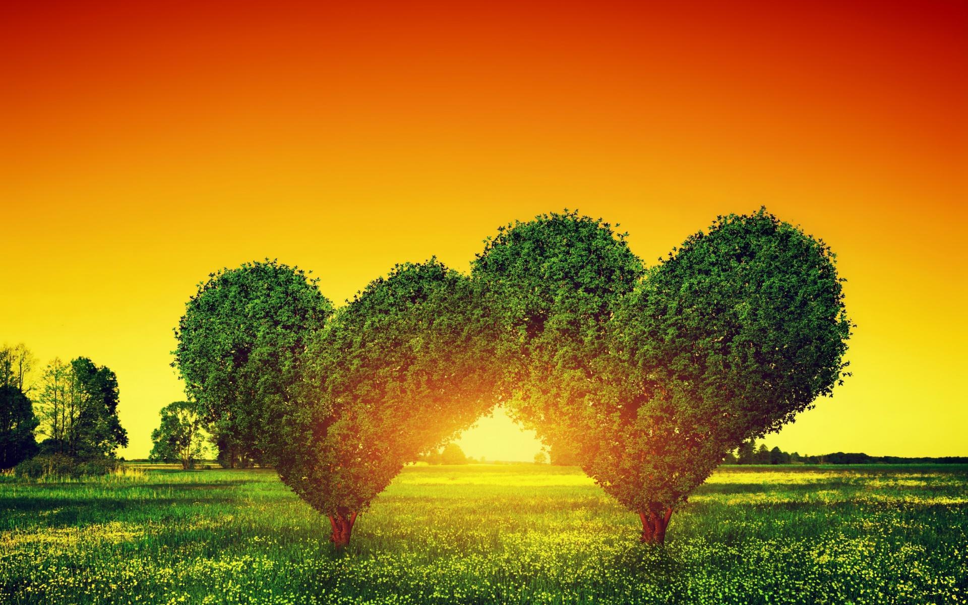 Green Tree Full HD Wallpaper Background With Heart